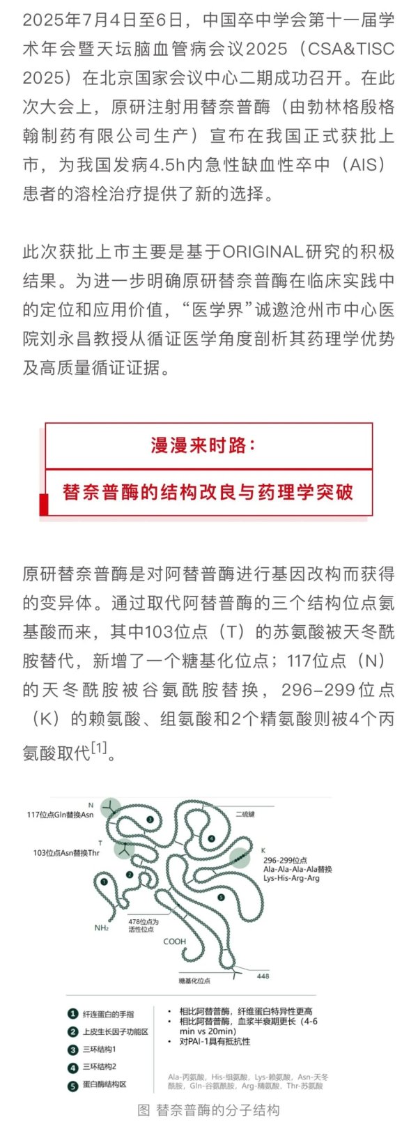 火牛网 CSA&TISC 2025｜卒中前沿：原研替奈普酶在我国获批上市，循证夯实AIS溶栓新选择！