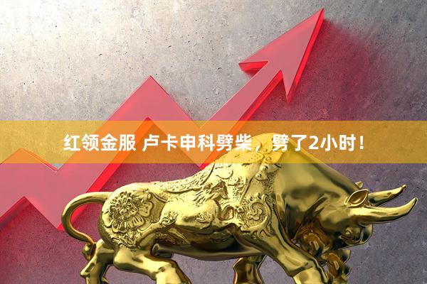 红领金服 卢卡申科劈柴，劈了2小时！