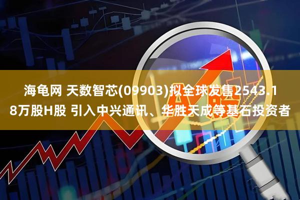 海龟网 天数智芯(09903)拟全球发售2543.18万股H股 引入中兴通讯、华胜天成等基石投资者